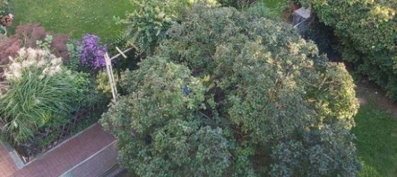 1 chambre Appartement à Tegel, Germany No. 367708 9