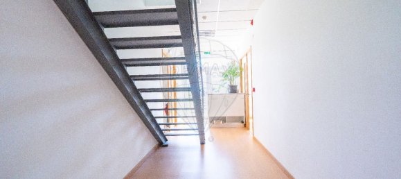  مستودع في Atalaia, Portugal 529متر مربع رقم 65476 15