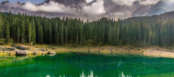 Apartamento de 20 divisões em Bognanco, Italy N.º 119050 26