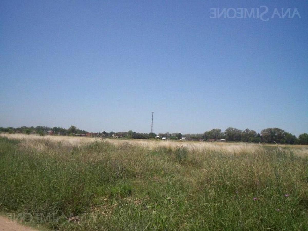 Grundstück in Pilar, Argentina, Nr. 110705