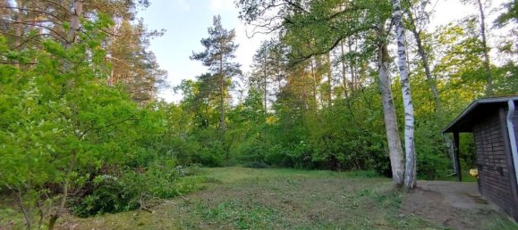 2 bedrooms Bungalow in Celle, Germany No. 126148 12