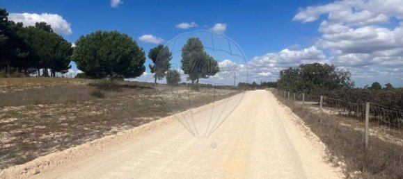 24996m² Land in Palmela, Portugal No. 61509 12