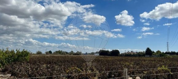 24996m² Land in Palmela, Portugal No. 61509 3