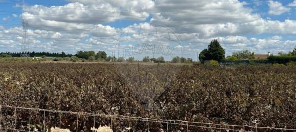 24996m² Land in Palmela, Portugal No. 61509 15