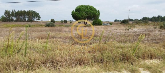 8250m² Land in Coruche, Portugal No. 157700 12
