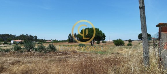 8250m² Land in Coruche, Portugal No. 157700 2