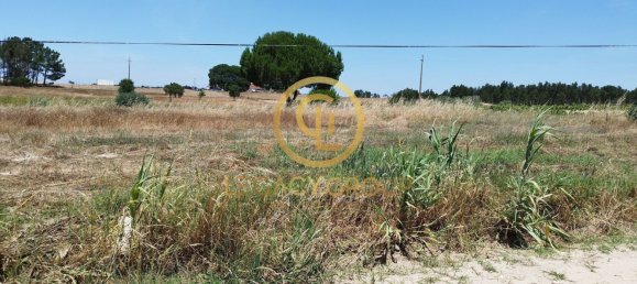 8250m² Land in Coruche, Portugal No. 157700 6
