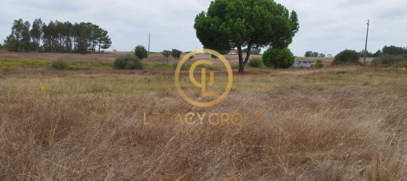 8250m² Land in Coruche, Portugal No. 157700 8