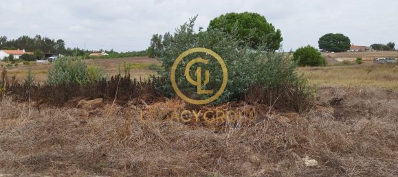 8250m² Land in Coruche, Portugal No. 157700 9