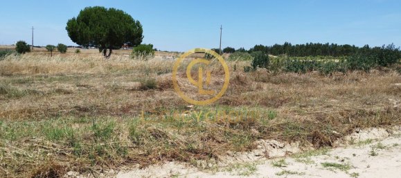 8250m² Land in Coruche, Portugal No. 157700 5