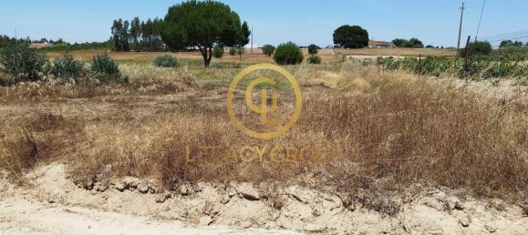 8250m² Land in Coruche, Portugal No. 157700 4
