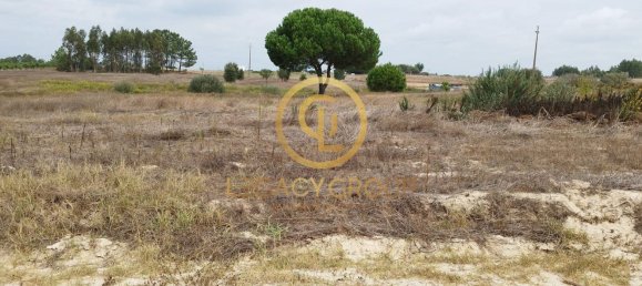8250m² Land in Coruche, Portugal No. 157700 14