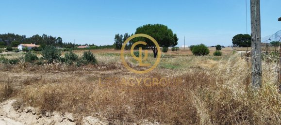 8250m² Land in Coruche, Portugal No. 157700 15
