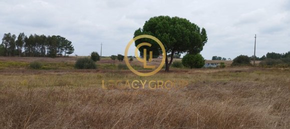 8250m² Land in Coruche, Portugal No. 157700 7