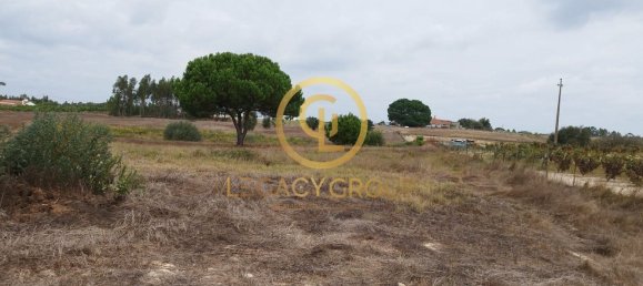8250m² Land in Coruche, Portugal No. 157700 11