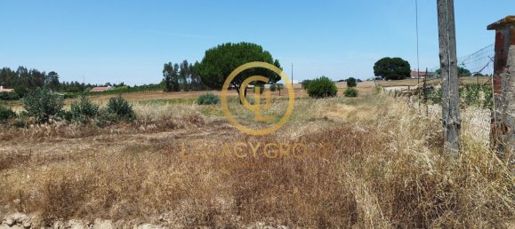 8250m² Land in Coruche, Portugal No. 157700 3