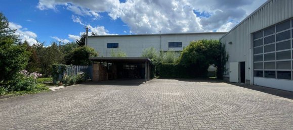 Imóvel comercial de 10 divisões em Rostock, Germany N.º 191605 42