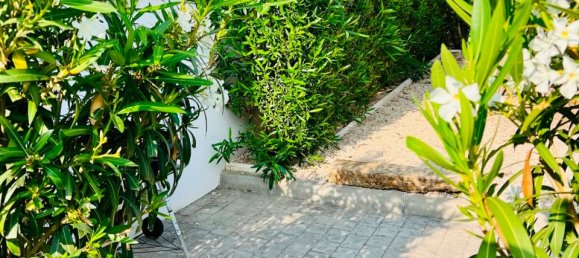 2 bedrooms Villa in Algorfa, Spain No. 170268 21