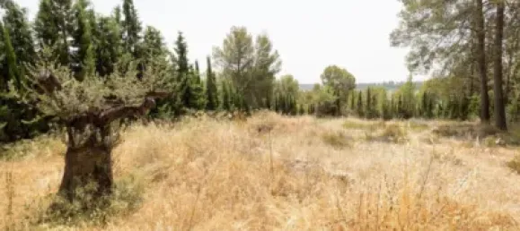 Terrain à Albolote, Spain No. 155514 33