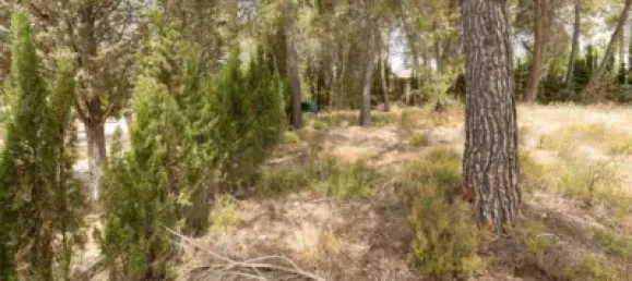 Terrain à Albolote, Spain No. 155514 11