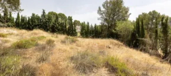 Terrain à Albolote, Spain No. 155514 35