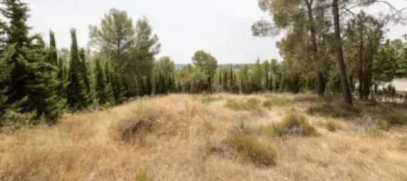 Terrain à Albolote, Spain No. 155514 3