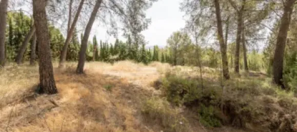 Terrain à Albolote, Spain No. 155514 39