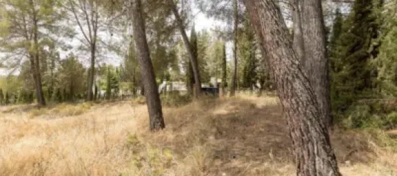 Terrain à Albolote, Spain No. 155514 2