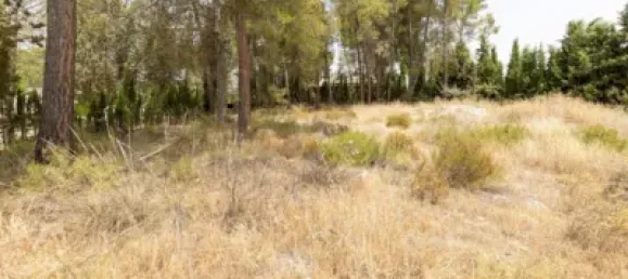 Terrain à Albolote, Spain No. 155514 10