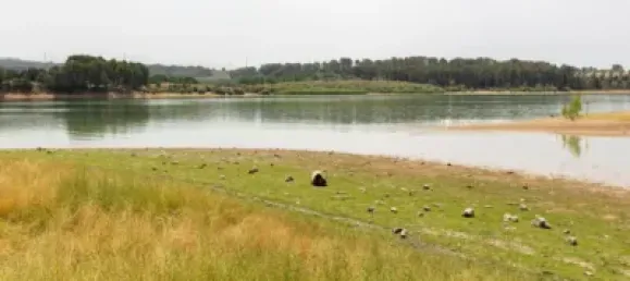 Terrain à Albolote, Spain No. 155514 14