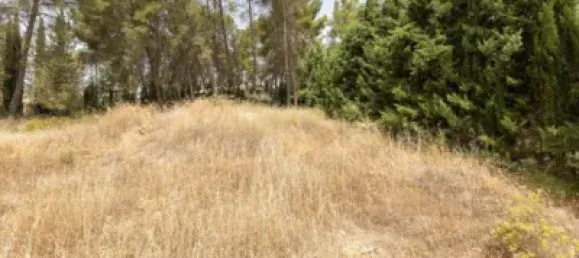 Terrain à Albolote, Spain No. 155514 6