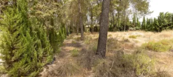 Terrain à Albolote, Spain No. 155514 4