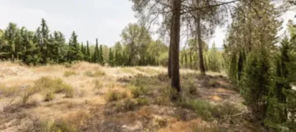 Terrain à Albolote, Spain No. 155514 13