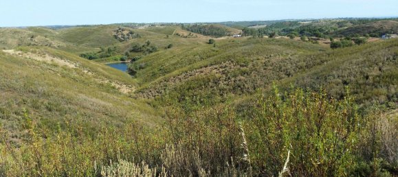 140000m² Land in Portimao, Portugal No. 77548 5