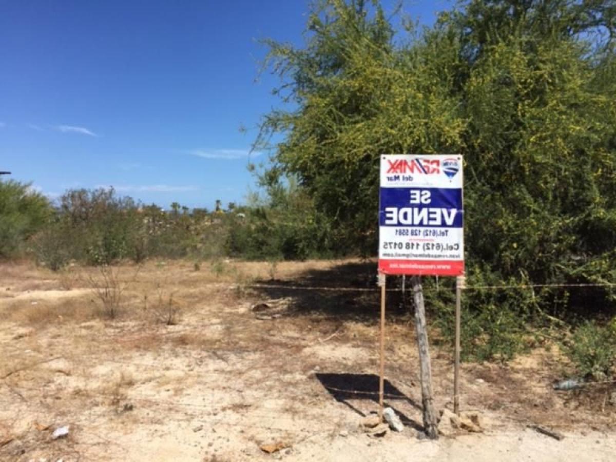 Terrain à La Paz, Mexico No. 103541