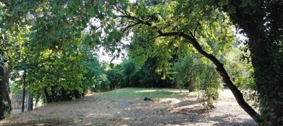 20-Zimmer Haus in Predappio, Italy, Nr. 289112 8