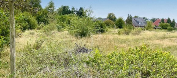 Terreno en Uelzen, Germany No. 367884 4