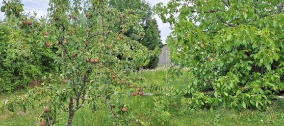 2-Zimmer Haus in Rechnitz, Austria, Nr. 190430 2