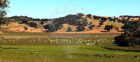 4 bedrooms Land in Santiago do Cacem, Portugal No. 119037 7