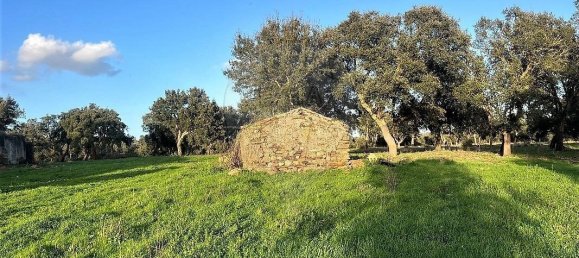 4 bedrooms Land in Santiago do Cacem, Portugal No. 119037 3