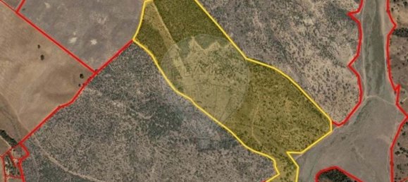 4 bedrooms Land in Santiago do Cacem, Portugal No. 119037 8