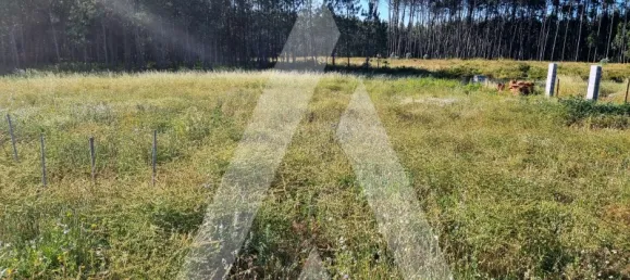 7 bedrooms House in Leiria, Portugal No. 152688 41