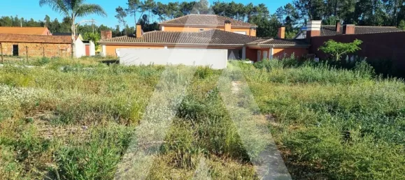 7 bedrooms House in Leiria, Portugal No. 152688 42