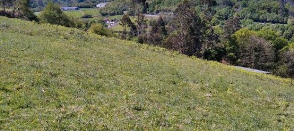 Земельный участок 38000м² в Сиеро, Испания № 183054 7