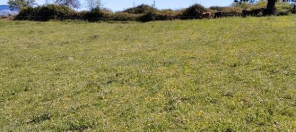 Земельный участок 38000м² в Сиеро, Испания № 183054 2