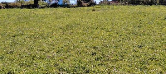 Земельный участок 38000м² в Сиеро, Испания № 183054 5