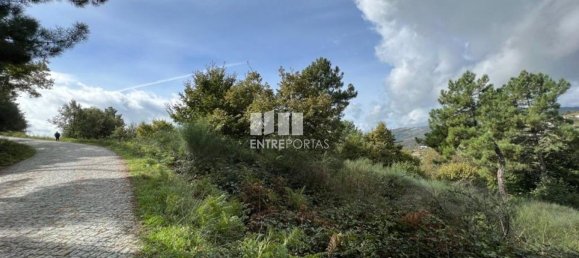  قطعة أرض في Baiao, Portugal 9661متر مربع رقم 59411 24