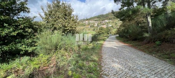  قطعة أرض في Baiao, Portugal 9661متر مربع رقم 59411 15