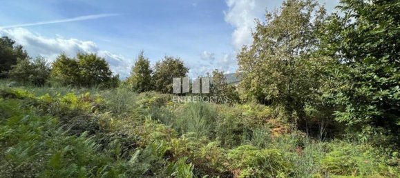  قطعة أرض في Baiao, Portugal 9661متر مربع رقم 59411 11