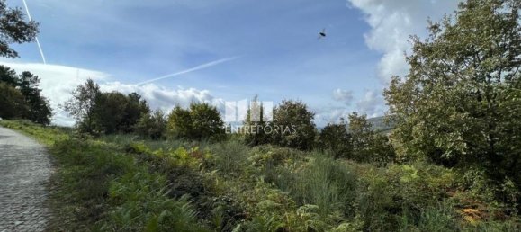  قطعة أرض في Baiao, Portugal 9661متر مربع رقم 59411 21